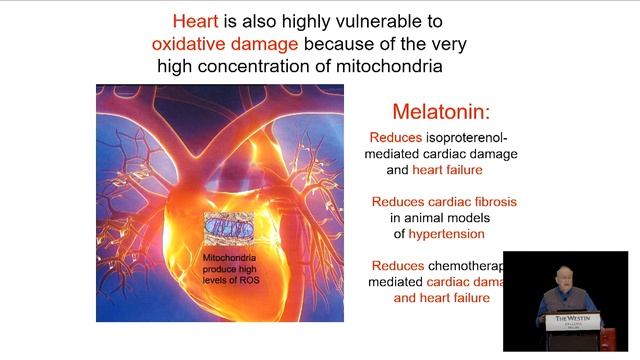 December 2022 Functional Forum: Emerging Priorities for Healing Stress смотреть онлайн