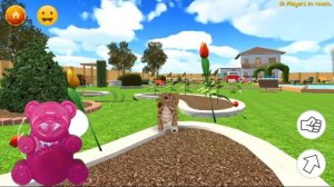 Приключение МАЛЕНЬКОГО КОТЕНКА 3.  ЖЕЛЕРКА PLAY.