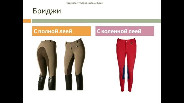 Экипировка всадника / Снаряжение для верховой езды