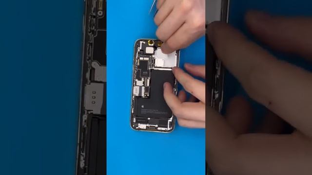 Замена заднего стекла iPhone 13 Pro (почему нужно менять заднюю крышку с разбором)