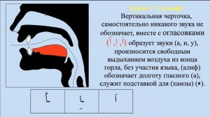 Онлайн-лекция на тему: «Правила чтения Корана: «Графические формы букв арабского алфавита»