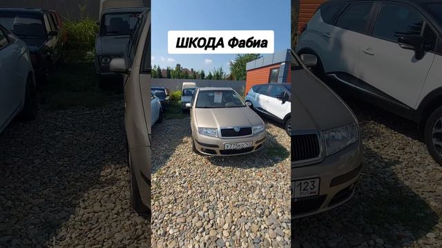 Авторынок. Шкода Фабиа
#шкодафабиа #авторынок #цены #сегодня #автомобили #намашины #машина #2024