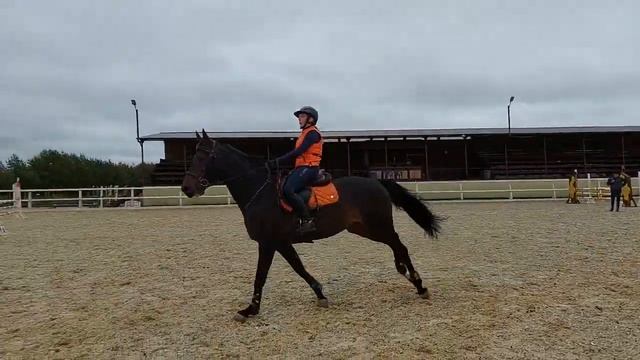 Разминка 02.10.22 смотреть онлайн