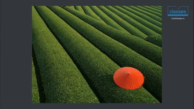 Цветовые контрасты. Цвет в фотографии. Андрей Зейгарник смотреть онлайн