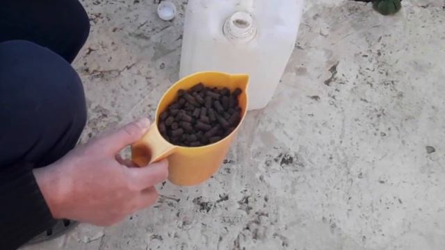 ПОДКОРМКА СМОРОДИНЫ ВЕСНОЙ. Ягода всегда КРУПНАЯ и СЛАДКАЯ. Чем подкормить смородину после зимы.