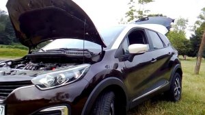 Причины масложора в двигателях Renault/Nissan 1.6 H4M/K4M. Какой расход масла считается нормальным?