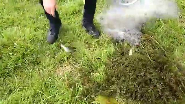 Кастинговая сеть в Тверской области на Волге смотреть онлайн