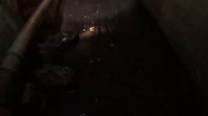 Замена выпуска канализации из дома в колодец