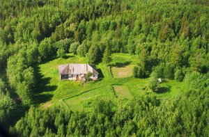 Чистка негатива солью в дУше.