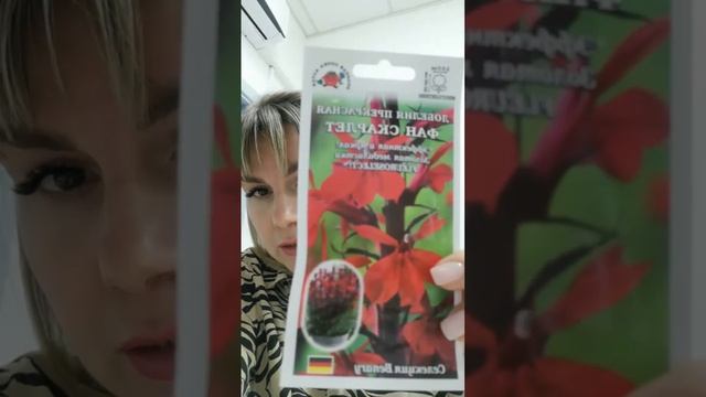 Очень красивая многолетняя лобелия #semena22 #золотаясоткаалтая смотреть онлайн