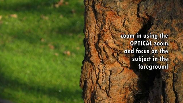 Bokeh with a compact camera - Canon Ixus 275 HS смотреть онлайн