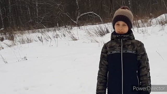 Зимнее утро. А. Пушкин. Мороз и солнце; день чудесный смотреть онлайн