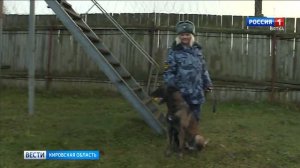На службу в кировские колонии прибыли десять щенков из Свердловской области