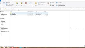 Bandicam -Установка, (сбой запуска приложения) Решаем проблемму!