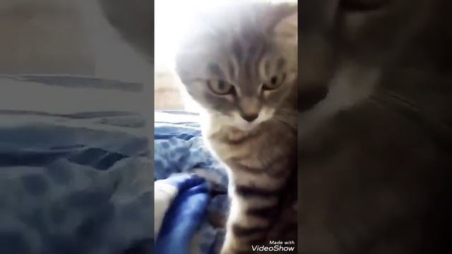 Я рассказываю  когда у Полины День Рождения