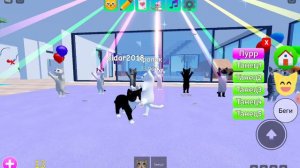 Roblox, игра с котятами.