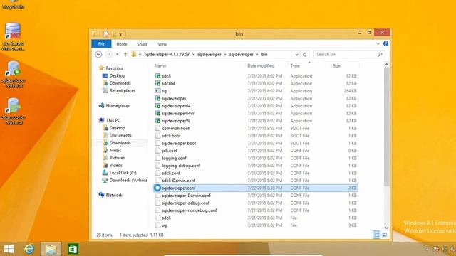 Oracle SQL Developer Tips : How to change the language