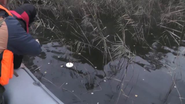 Красивая Щука.(Язь отдыхает) смотреть онлайн