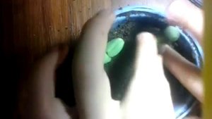 как посадить подсолнух