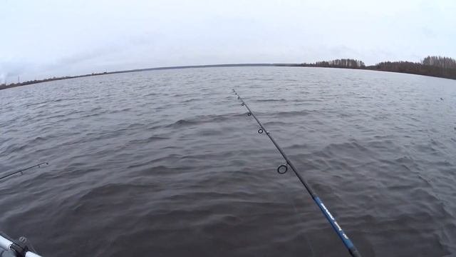 #р_Шексна #Рыбалка #Закрываем_сезон #Осенняя_рыбалка