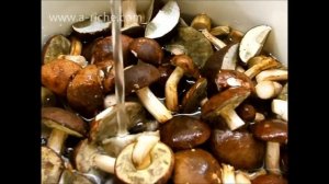 Грибы консервированные без уксуса