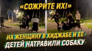 «Сожрите их!»: на женщину в хиджабе и ее детей натравили собаку