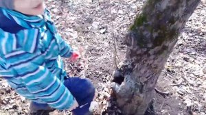 Ребенок сиреноголового! Мы нашли его в лесу! Новое видео!