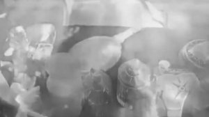 Versace Crystal Noir