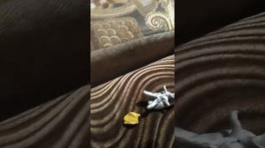 Пластилиновый фильм Пила 9 Спираль Смерть Детектива Фитча