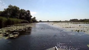 Лодка неман 2 yamaha 15 плавни запорожье