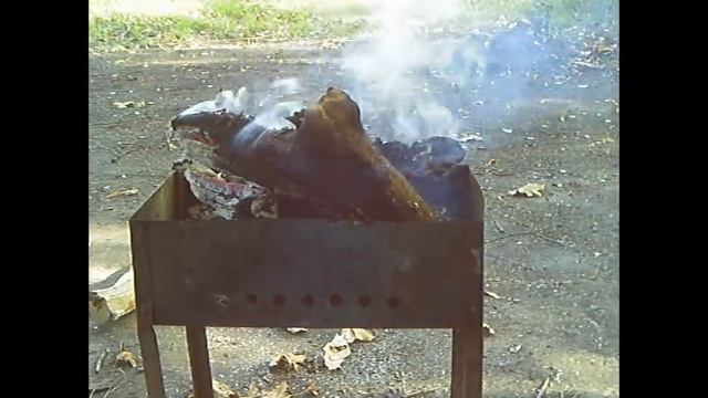 Зубы. Что делать, чтобы не болели зубы. смотреть онлайн