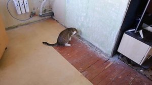 2020г * РЕМОНТ ХРУЩЕВКИ ДЕНЬ 3