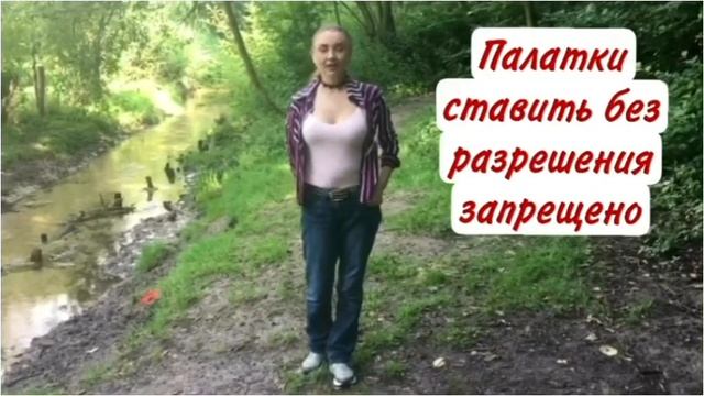 #жизньвГермании #адаптациявгермании  
Правила поведения в лесу