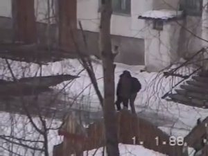 1992 Колыма. Семейное застолье перед отъездом на Украину. ч3