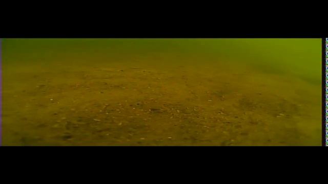 Сурское водохранилище. Съёмка подводной камерой.