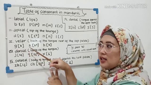 MANDARIN DASAR (Lesson 1)||Mastering Hanyu Pinyin| Study Consonants & Vowels смотреть онлайн