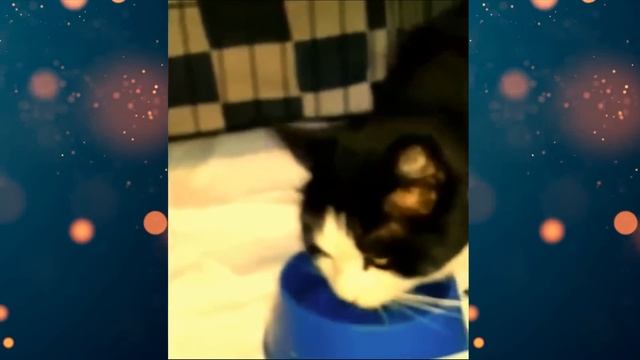 Когда мужчины ловили рыбу, из высокой травы к ним вышел ОН! смотреть онлайн