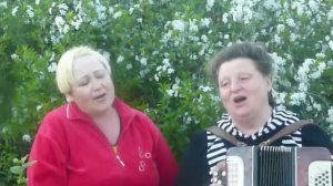 Расцвела под окошком белоснежная вишня