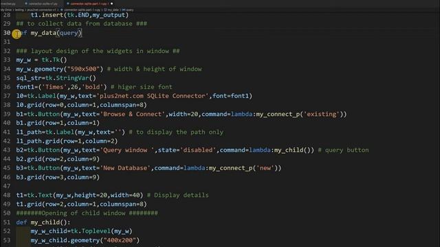 Tkinter child window using Toplevel to execute user entered SQL query on SQLite and display result