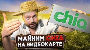 Создаю плоты для Chia на видюхе | Обалдеть как Быстро