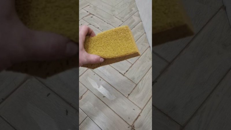 Затирка плитки по ФЭНШУЮ!