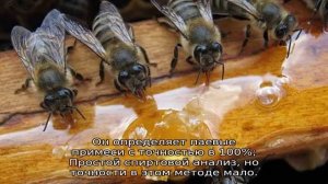 Сколько рамок с медом оставлять пчелам на зиму