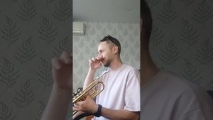 Сурдина для трубы, копия sshhmute.