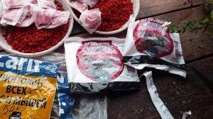 Методы борьбы с мышами.