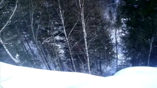 forest in winter. Лес зимой в горах. смотреть онлайн