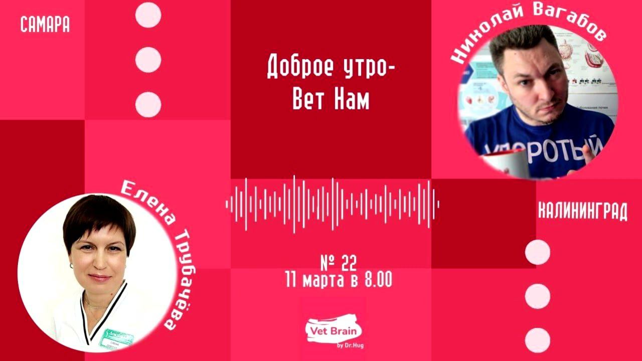 "ВетНам" №22, Елена Трубачева (11.03.2024)