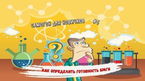 Как определить готовность браги?