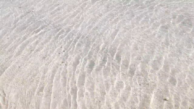 Rixos Bab Al Bahr. Медузы на пляже. ОАЭ.Рас-аль-Хайма. Ultra All Inclusive - 1 Minute Story NS смотреть онлайн