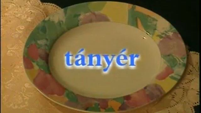 Венгрерский язык 13 урок,Получение гражданство Венгрия,http://pasport.umi.ru/ смотреть онлайн