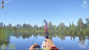 Русская Рыбалка 4/Russian Fishing 4/тест компа в рр4 и пабг